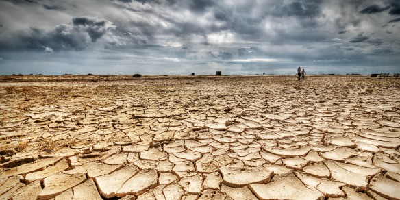 Global Water Scarcity